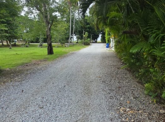 Prime Residential Lot for Sale One Minute from El Portillo Beach, Las Terrenas