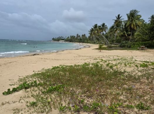 Prime Beachfront Lot for Sale in El Portillo, Las Terrenas