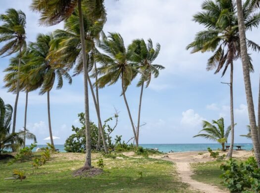 Prime Residential Lot for Sale One Minute from El Portillo Beach, Las Terrenas