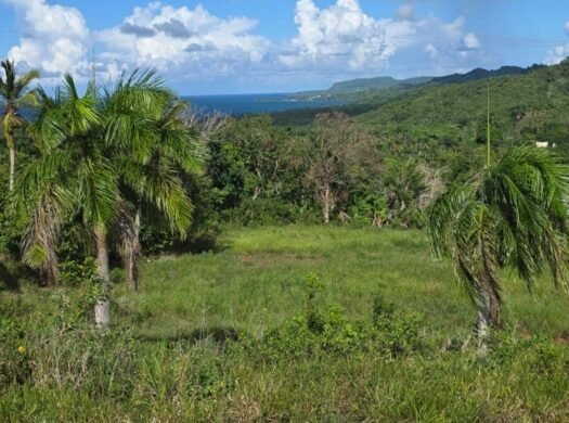 Residential Lots for Sale Near Playa Rincón, Las Galeras