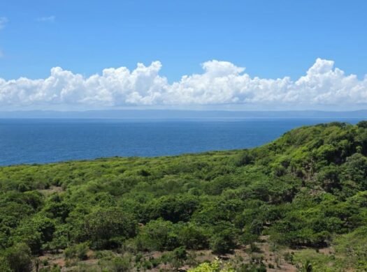 14,101 m² Land with Ocean Views for Sale in Las Galeras