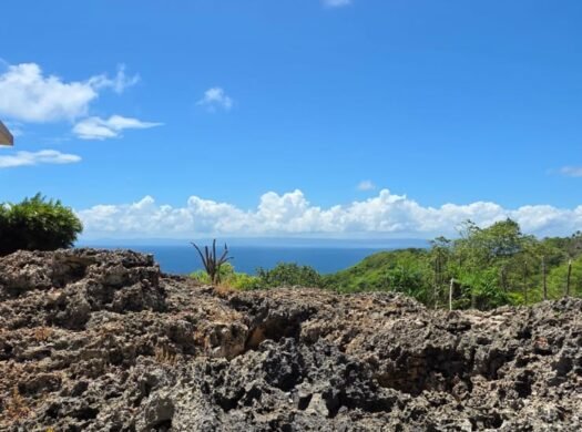 14,101 m² Land with Ocean Views for Sale in Las Galeras