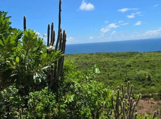 14,101 m² Land with Ocean Views for Sale in Las Galeras