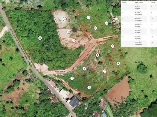 Residential Lots for Sale Near Playa Rincón, Las Galeras