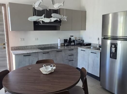 1-Bedroom Apartment with Rooftop Terrace & Jacuzzi for Sale in Las Terrenas